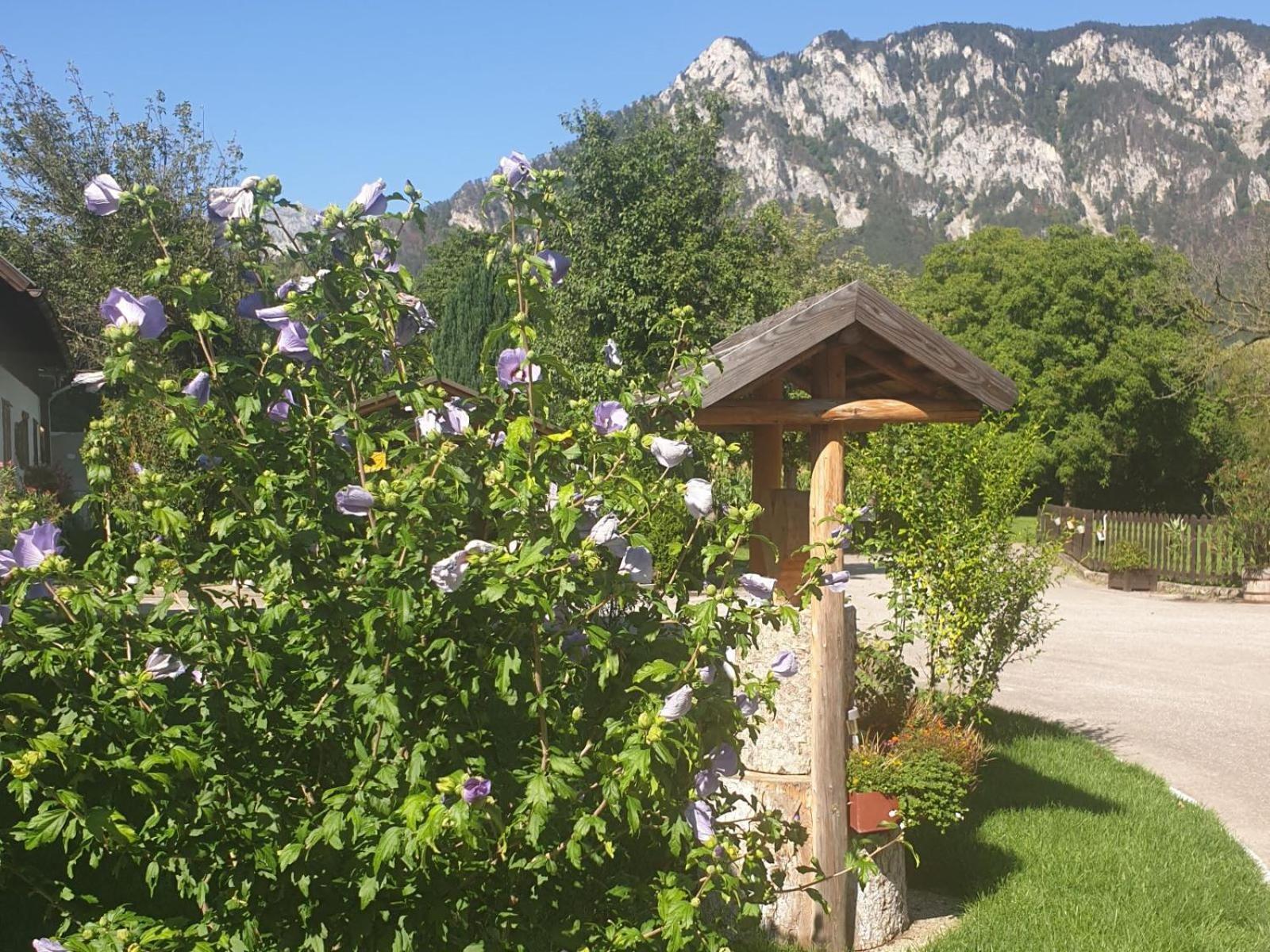 Familie Stoier Villa Reichenau Exteriör bild
